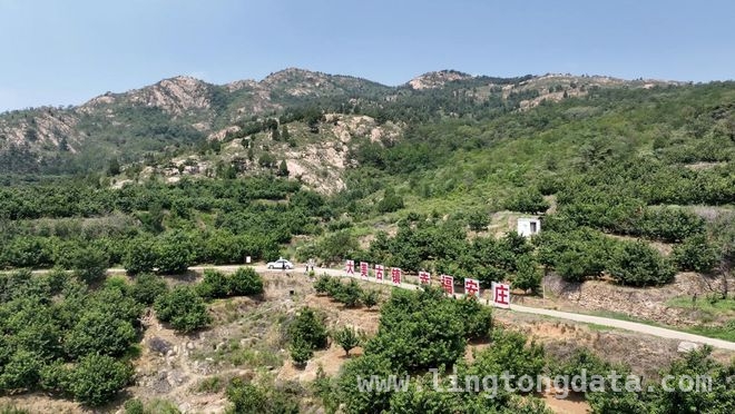花甲支书武文平：用坚守书写山村致富传奇 前寨子村：从穷山沟到聚宝盆，老支书功不可没！