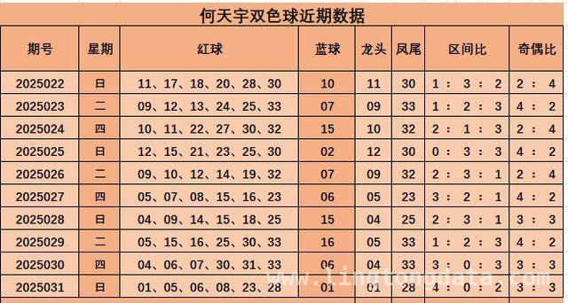 本期彩票号码全解析，快来瞧！