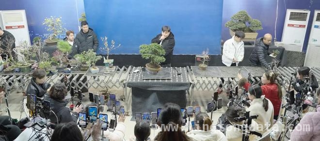 以云为媒，宿迁绘就发展新画卷