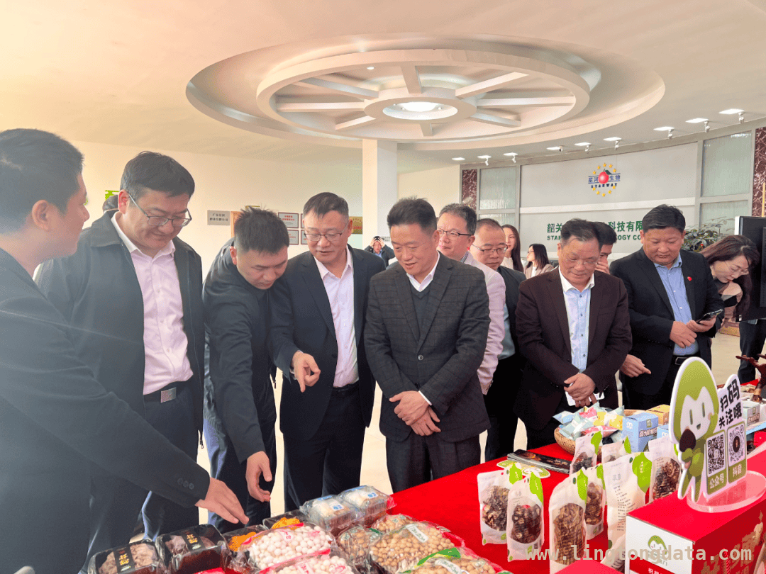 曲江迎广东江苏商会考察，产业合作前景可期，曲江引广东江苏商会考察，共绘经济发展新蓝图