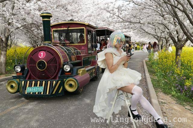荥阳古柏渡丰乐樱花园：邂逅春日浪漫樱花海 荥阳樱花园樱花盛开，市民沉醉浪漫春光