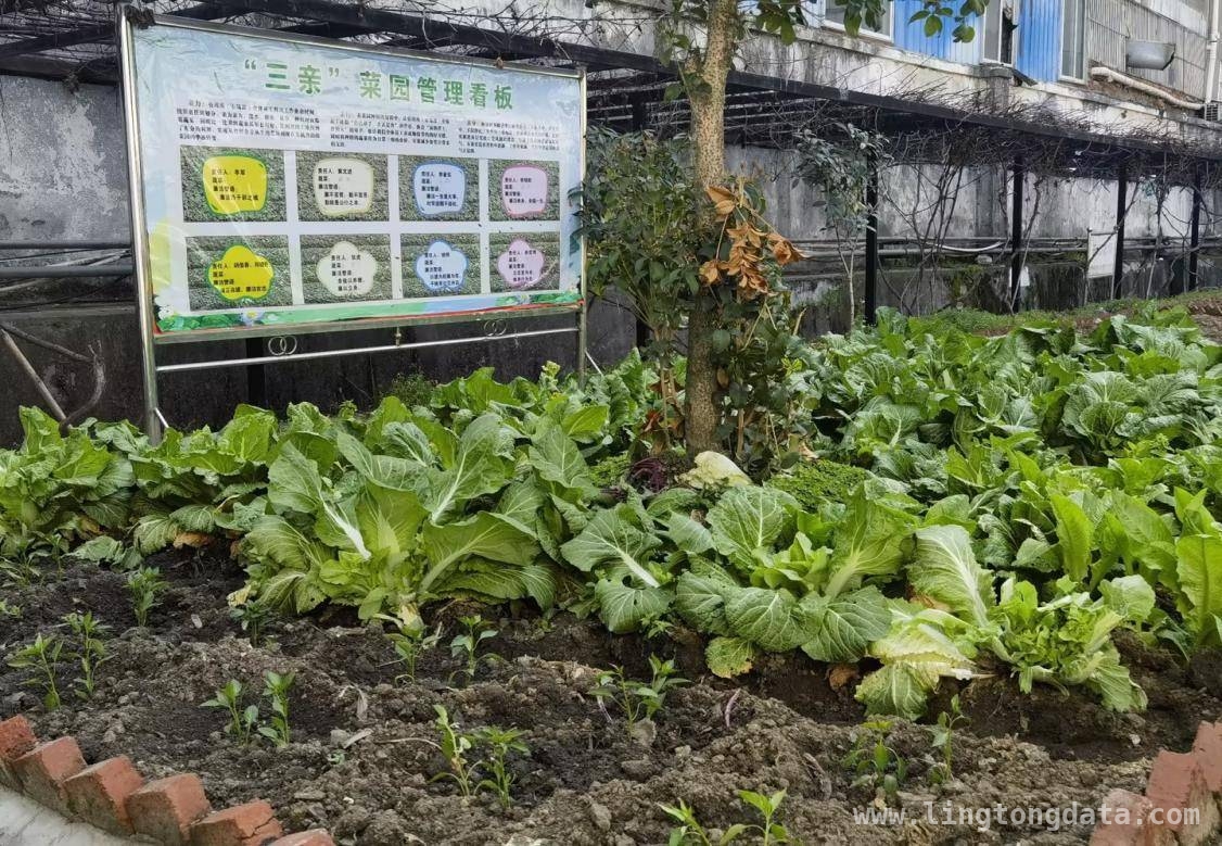 清风拂雁，宝丰市场部为乡村振兴注入强劲动力，从红色故里到振兴热土，宝丰市场部书写时代答卷