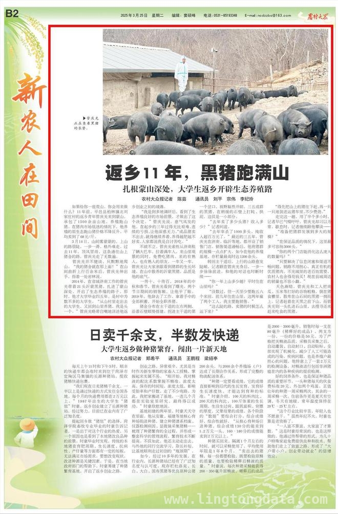 养跑山猪年赚百万，返乡青年管庆光的生态养殖经 蒙山深处，管庆光的跑山猪养殖逆袭之路