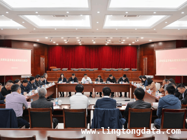 黄桥街道拿地企业座谈：政企携手开启发展新征程，苏州黄桥街道拿地企业座谈会：为发展注入强劲动力