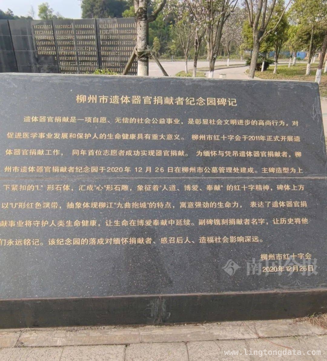 柳州遗体捐献纪念碑前，家属的思念与感恩交织，致敬柳州遗体捐献者，无私大爱照亮生命希望