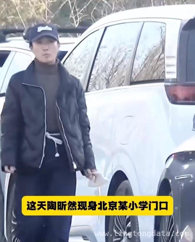 陶昕然何建泽十年婚姻落幕，洒脱分手令人唏嘘，陶昕然何建泽和平离婚，为孩子成长选择低调处理