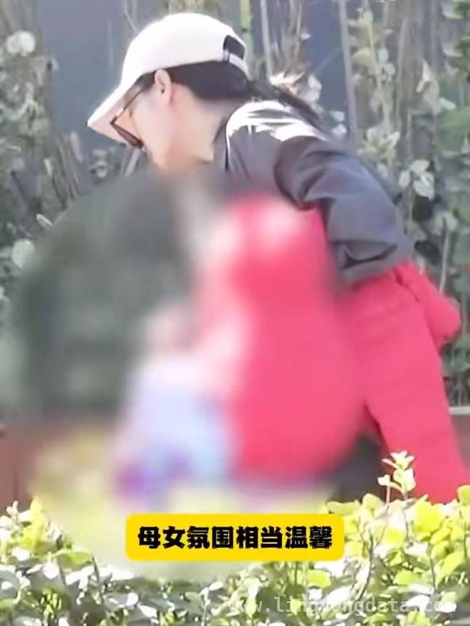 陶昕然何建泽十年婚姻落幕，洒脱分手令人唏嘘，陶昕然何建泽和平离婚，为孩子成长选择低调处理