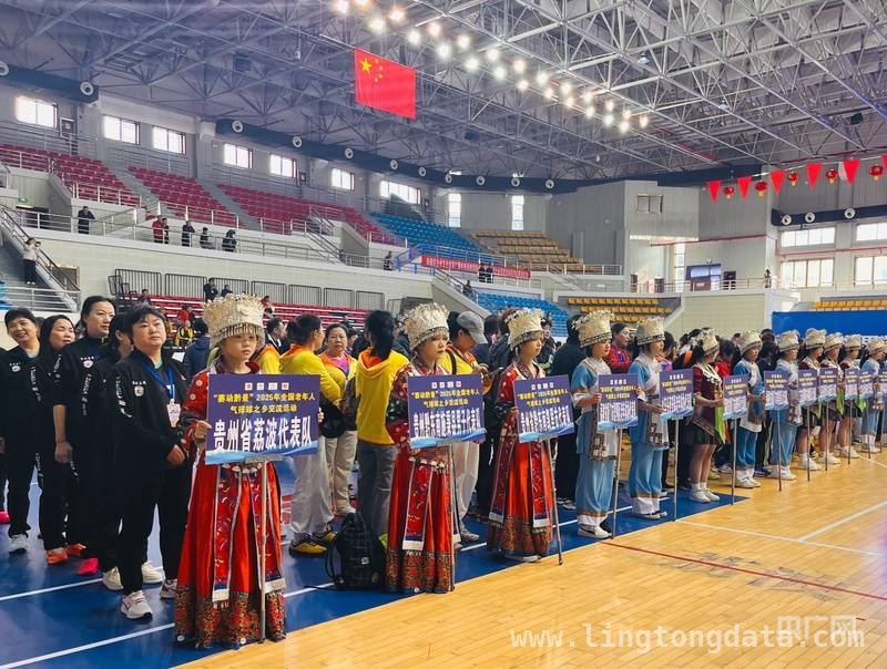 全国老年气排球赛在荔波举办，点燃全民健身新热潮，相约荔波：老年气排球交流赛开启健康社交之旅