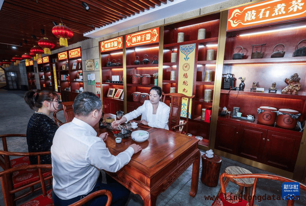 走进3月25日的武义，感受旅游的魅力，武义春日游：露营、品茶、采茶乐趣多
