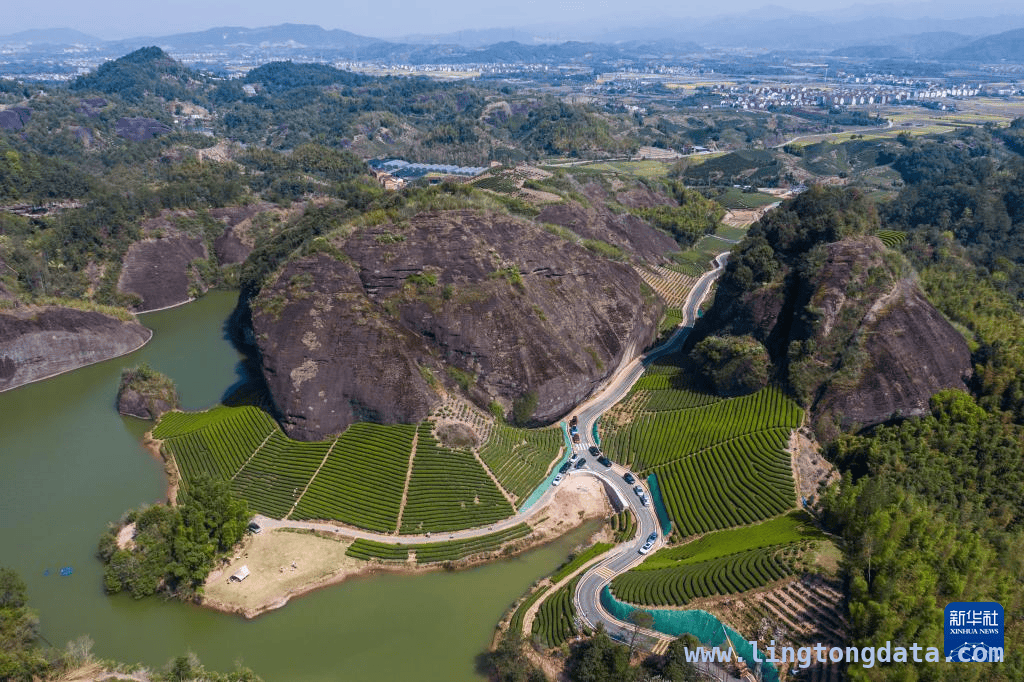 走进3月25日的武义，感受旅游的魅力，武义春日游：露营、品茶、采茶乐趣多