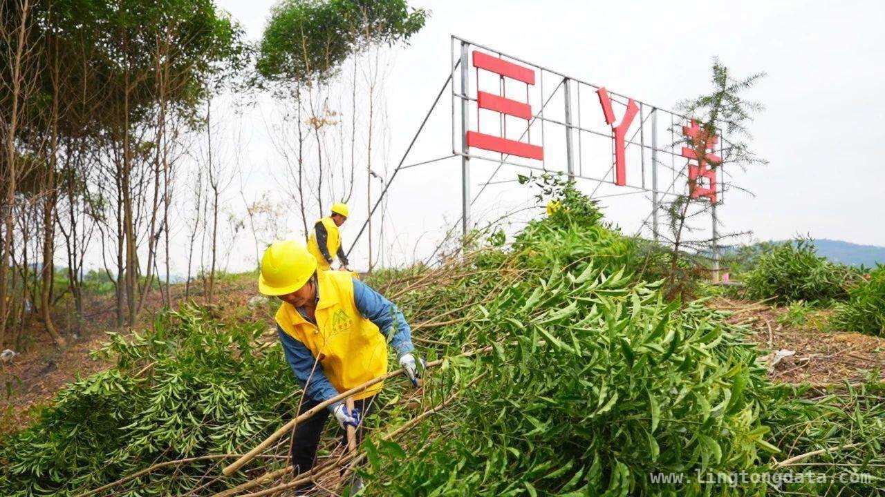 罗定中医药：融合发展绘就产业新画卷 罗定：借政策之力迈向中医药产业集群新时代
