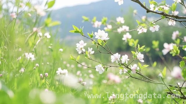 中学时代，红蓝铅笔里的青春情谊，红蓝铅笔：中学同桌情谊的见证