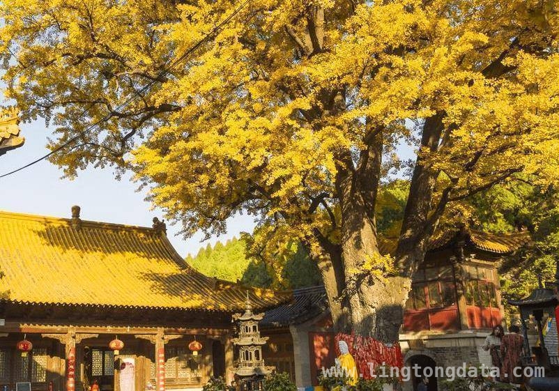 济南登山意外敲响户外安全警钟，游玩攻略伴您畅享美景