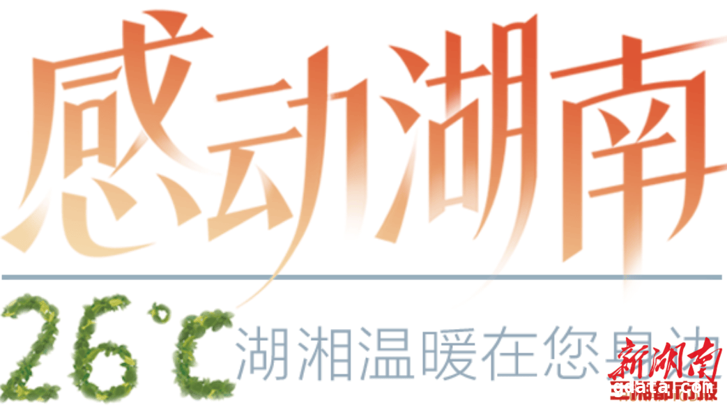 龚莹：积极备考心理咨询师，为孩子成长助力，龚莹：从母亲到心理咨询师，用爱守护孩子心灵