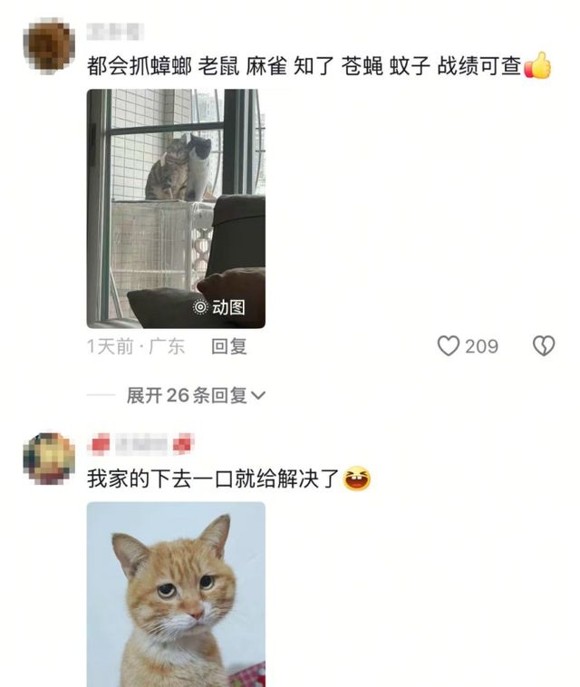广东一家庭猫鸡狗抓鼠无功，网友纷纷亮“法宝”！