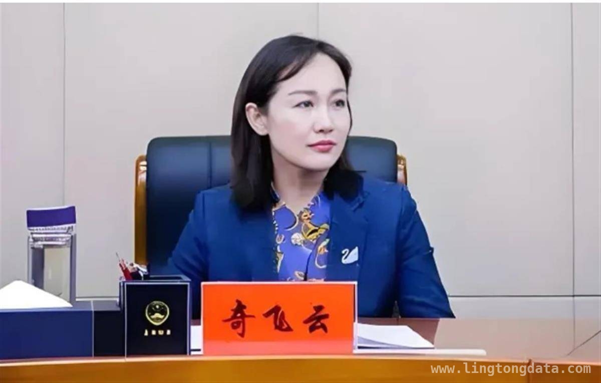新晋！奇飞云任内蒙古生态环境厅厅长，过往经历亮眼