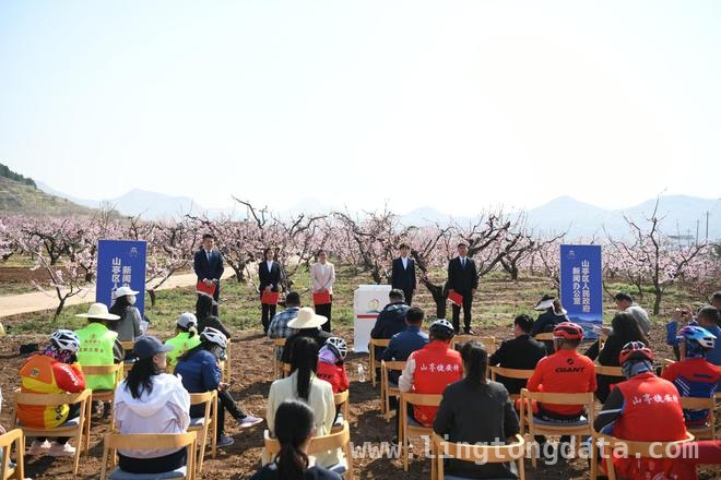 桃花园中新闻发布，山亭文旅开启春日新篇