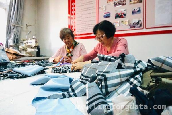 大寺镇社企共建：为社区发展与环保事业添活力