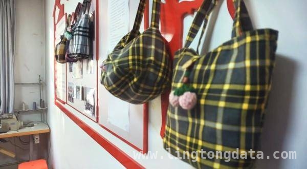 大寺镇社企共建：为社区发展与环保事业添活力