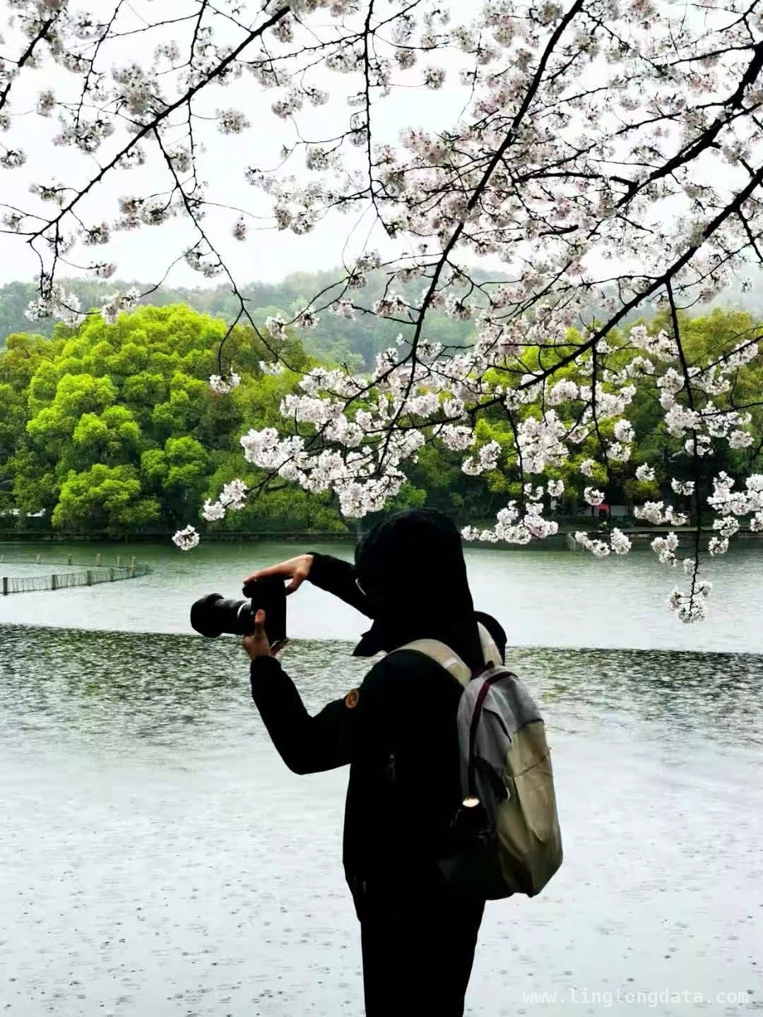 仲春杭城繁花盛，诗意生活正当时，杭城春日：百花争艳的诗意之旅