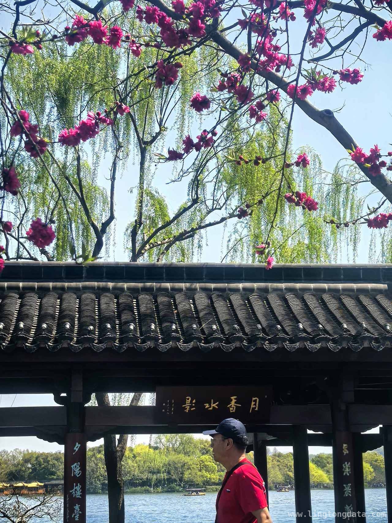 仲春杭城繁花盛，诗意生活正当时，杭城春日：百花争艳的诗意之旅