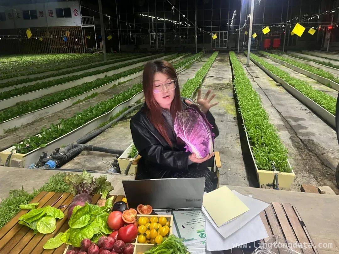皋兰农业：新质生产力下的科技奇迹