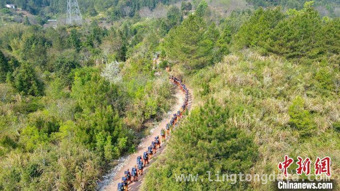 福建森林消防龙岩支队：野营拉练锻造灭火尖兵
