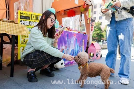 今潮8弄“宠物友好街区”，奏响春日人宠同乐交响曲，今潮8弄升级“宠物友好街区”，开启春日萌趣之旅
