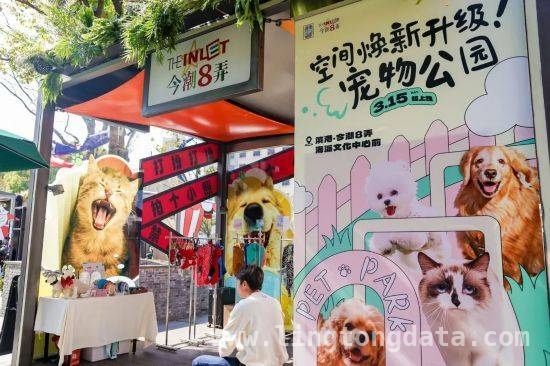 今潮8弄“宠物友好街区”，奏响春日人宠同乐交响曲，今潮8弄升级“宠物友好街区”，开启春日萌趣之旅