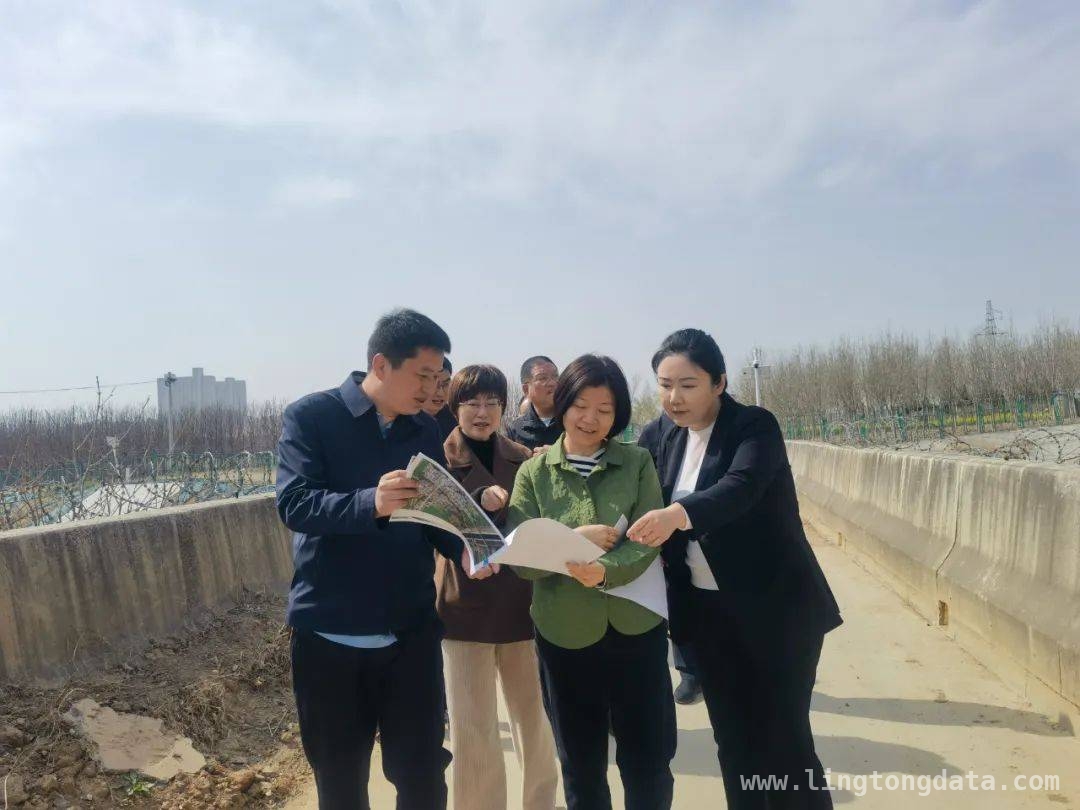 王莹一行调研驻村帮扶，共绘乡村振兴美好蓝图，实地调研驻村工作，省生态环境厅助力乡村振兴加速跑