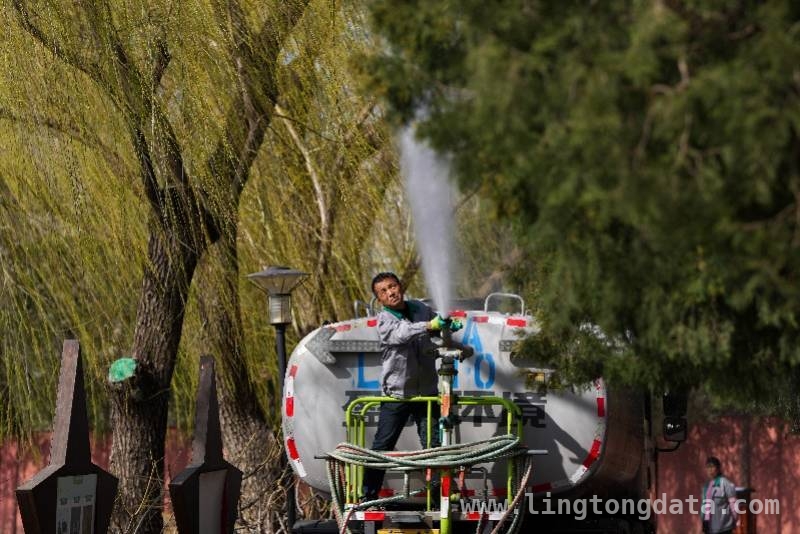 北京花粉过敏大爆发，圆柏去留何去何从？