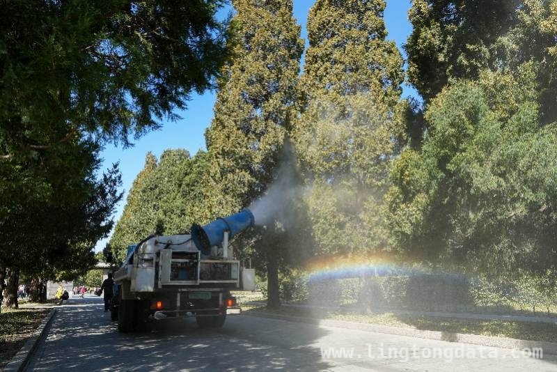 北京花粉过敏大爆发，圆柏去留何去何从？