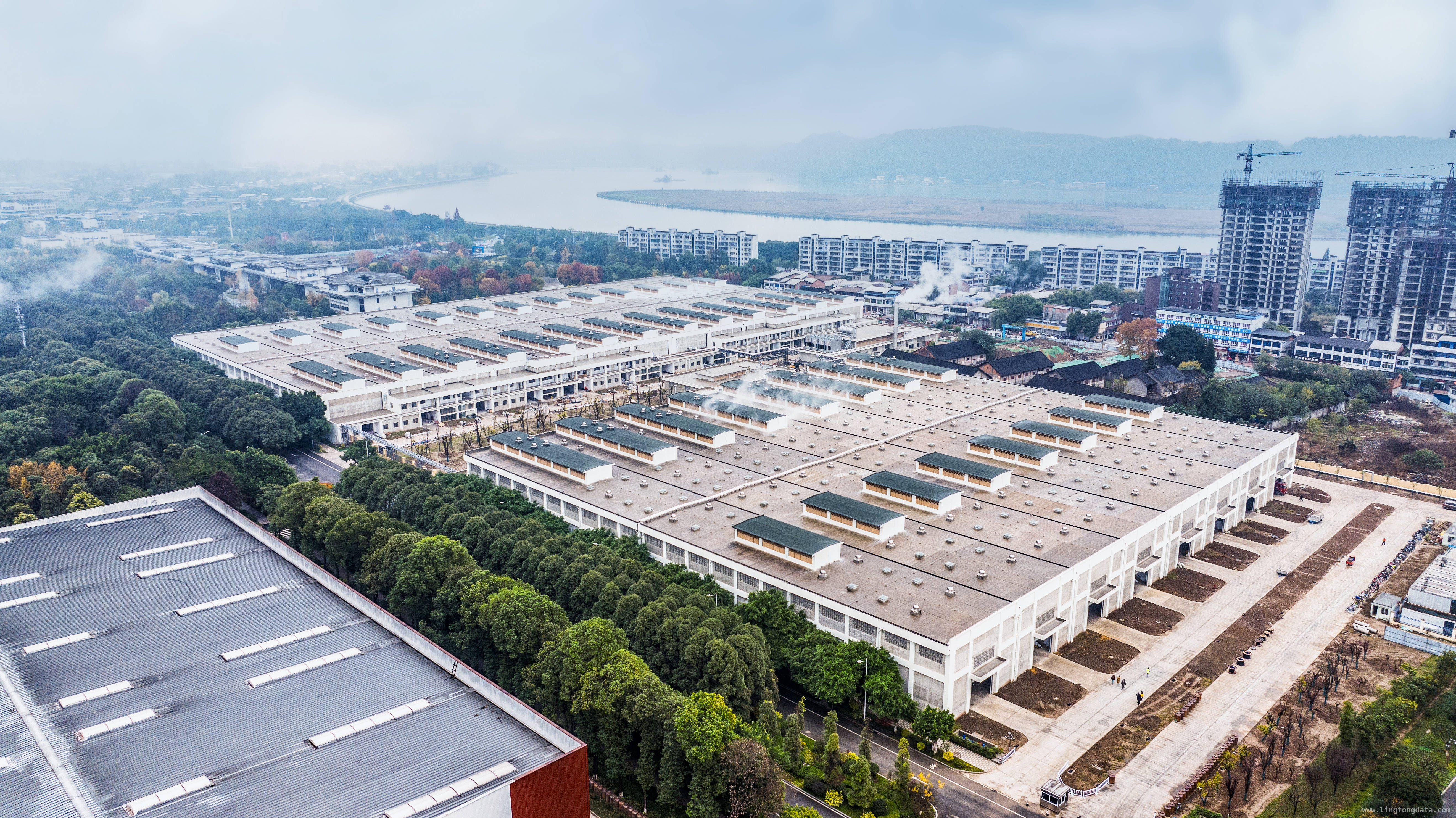 逆势前行：舍得酒业2024业绩稳，2025再启航，从2024到2025，舍得酒业的战略布局与增长潜力