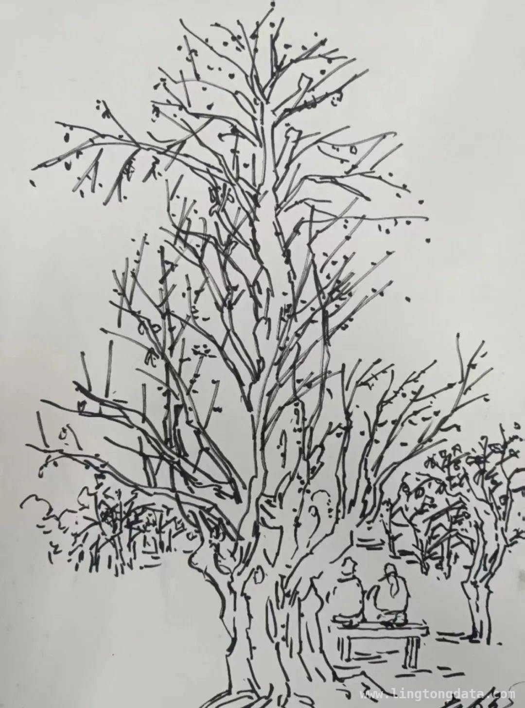 户外移动课堂：让学子在春天里成长蜕变 移动课堂开启，学子春日探索新征程