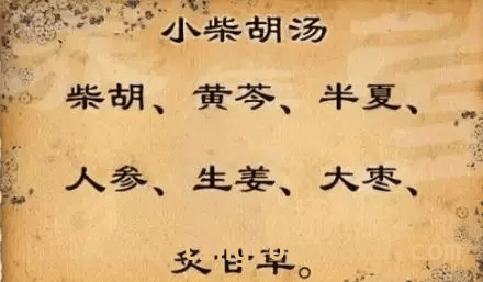 探秘小柴胡汤：多种疾病的克星，小柴胡汤大揭秘，众多疾病有对策