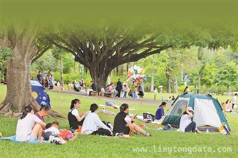 深圳2025：从千园之城迈向全域公园城市，步道体系焕新，2025深圳：公园与步道建设齐头并进，共筑绿美家园