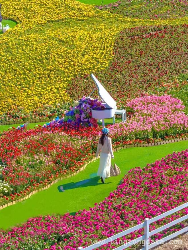 云上郁花园：春日极致体验，红叶柿岩等你来