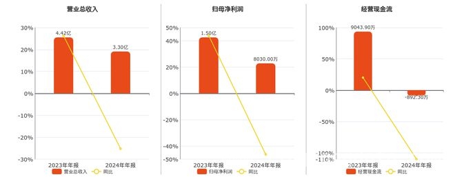 3. 康普化学2024年业绩报告：营收利润双降，前景几何？