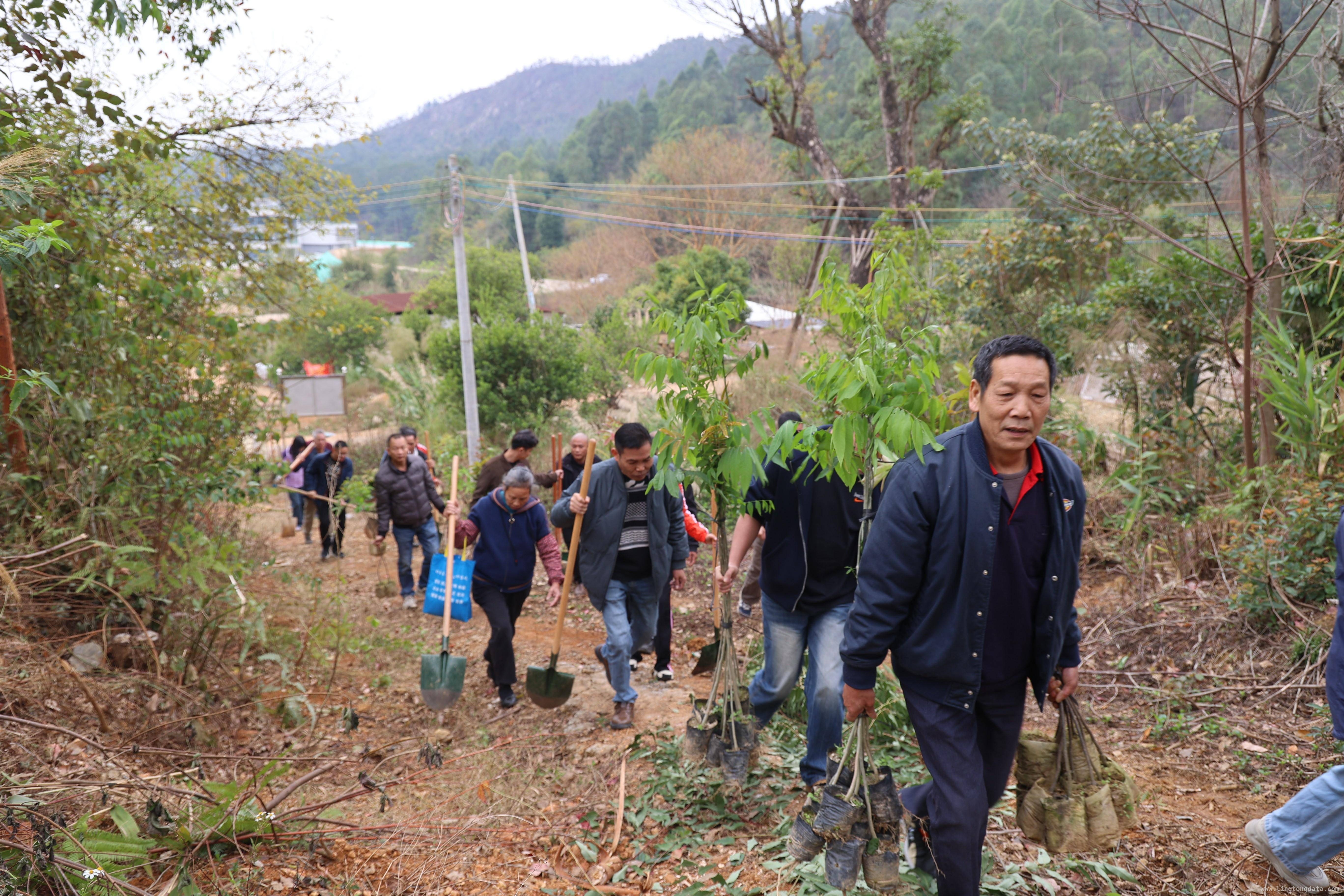 源潭镇500人义务植树，绘就绿美生态画卷，清远源潭镇：义务植树行动，助力高质量绿色发展