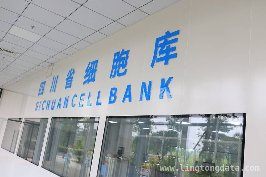 探秘干细胞：开启医学新希望