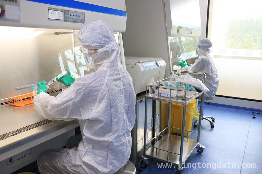 探秘干细胞：开启医学新希望