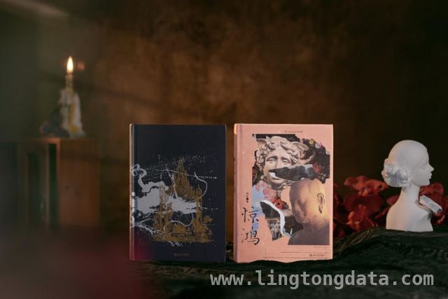 范迁新作惊鸿，映照艺术家的光明与黑暗，从反复梦境到惊鸿问世，范迁的艺术人生蜕变