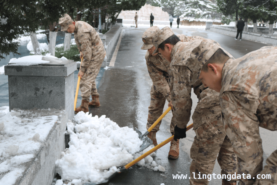 第62个学雷锋日，济南革命烈士陵园开启志愿服务新篇章
