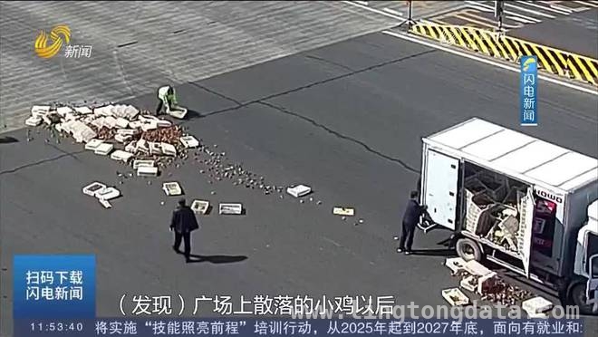 淄博新区收费站：半小时“抓鸡行动”守护司机损失