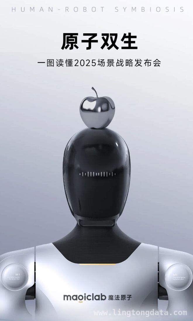 魔法原子 2025 战略：机器人多元场景大揭秘！