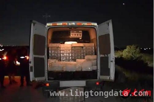 潍坊海警：盐碱滩上的“红柳卫士”，守护海洋安宁，潍坊滨海海警局：以“红柳精神”书写海疆守护篇章