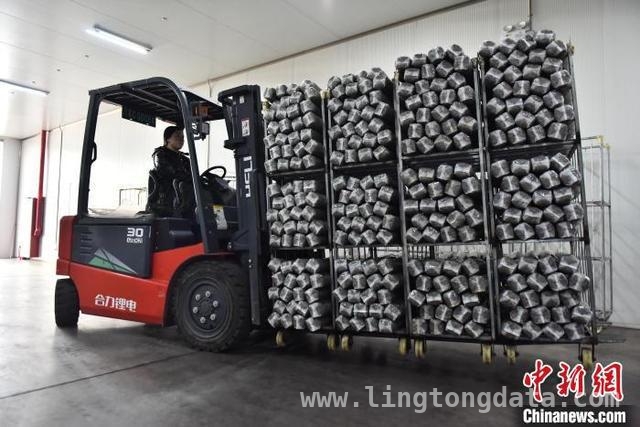 从菌棒到市场，河北青龙香菇产业书写乡村振兴新篇章