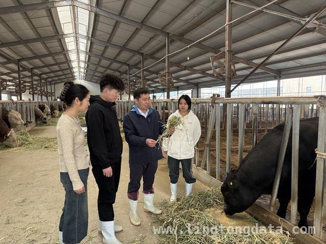 河南中牟：“科技副总”开启产学研合作新篇章