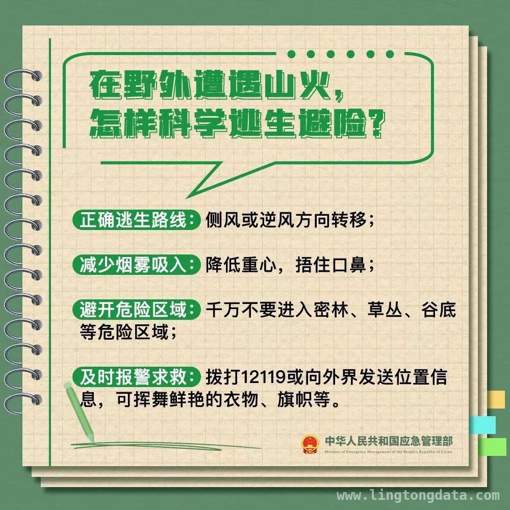 韩国山林火灾酿悲剧，多起案例凸显野外防火重要性，惊！韩国史上最严重山林火灾，多起案例警示防火