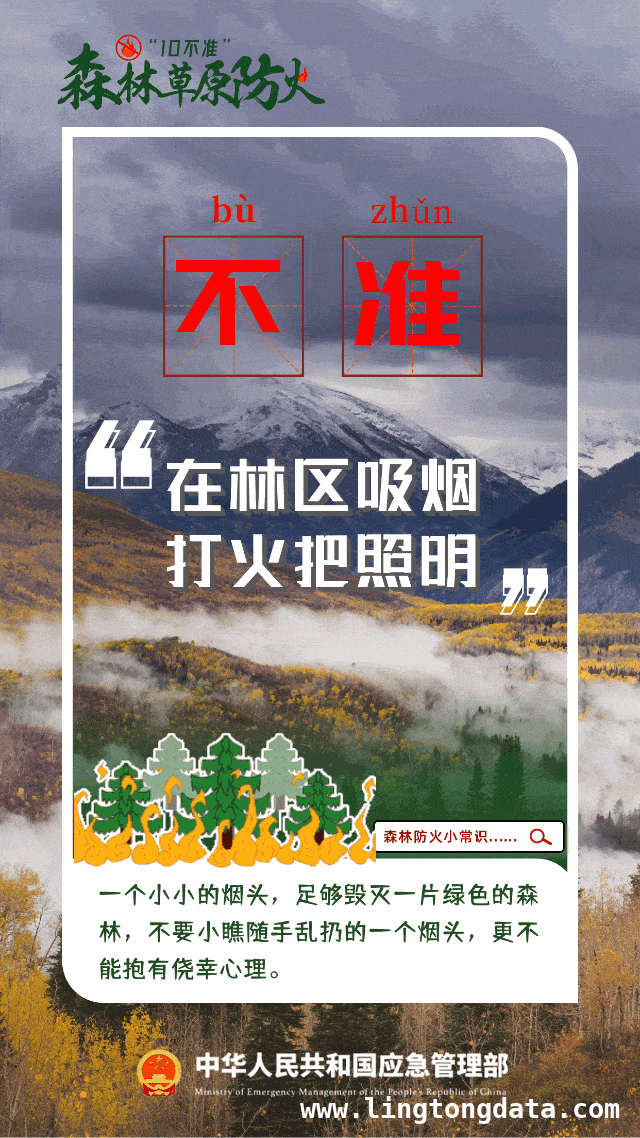 韩国山林火灾酿悲剧，多起案例凸显野外防火重要性，惊！韩国史上最严重山林火灾，多起案例警示防火